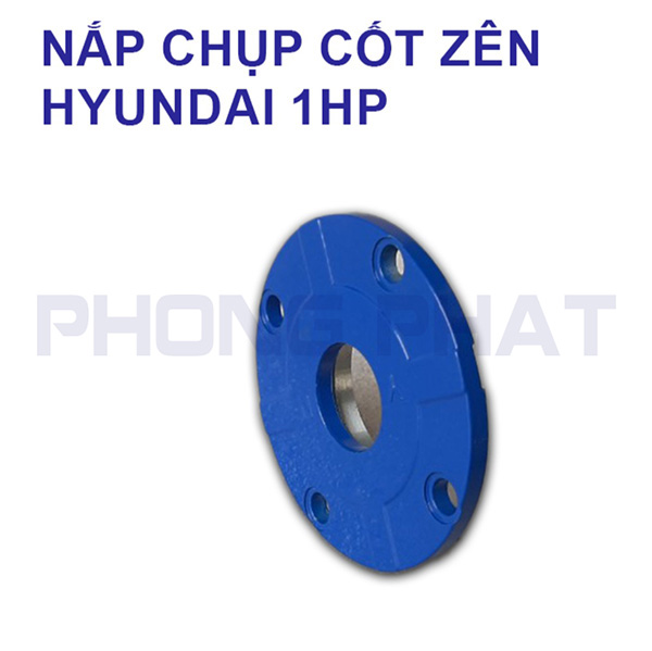 Nắp chụp cốt zên đầu bơm HYUNDAI 1HP