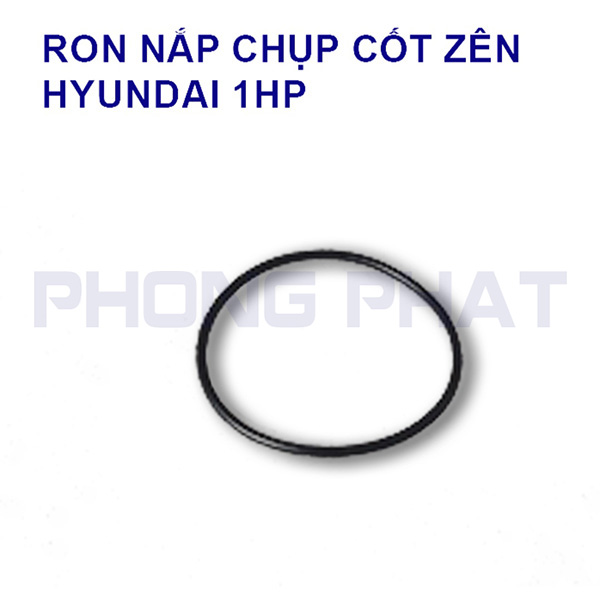 Ron nắp chụp cốt zên đầu bơm HYUNDAI 1HP